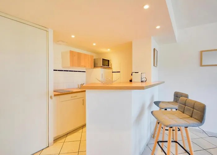 Appartement Les Cosy De La Taniere De La Porte Verte 4etoiles